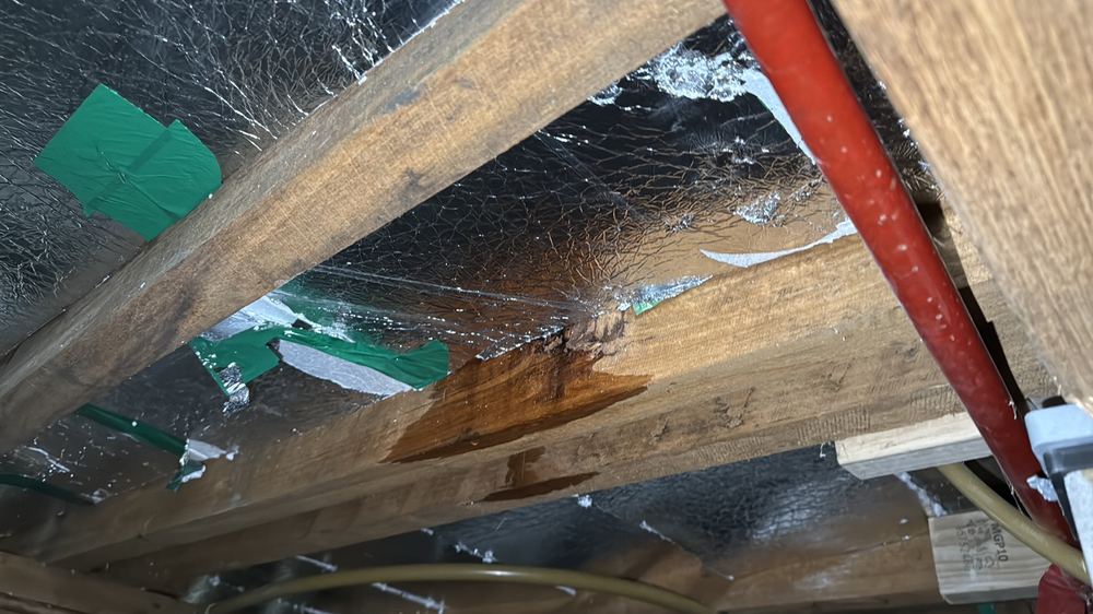 Defect Investigation Reports in Beveridge