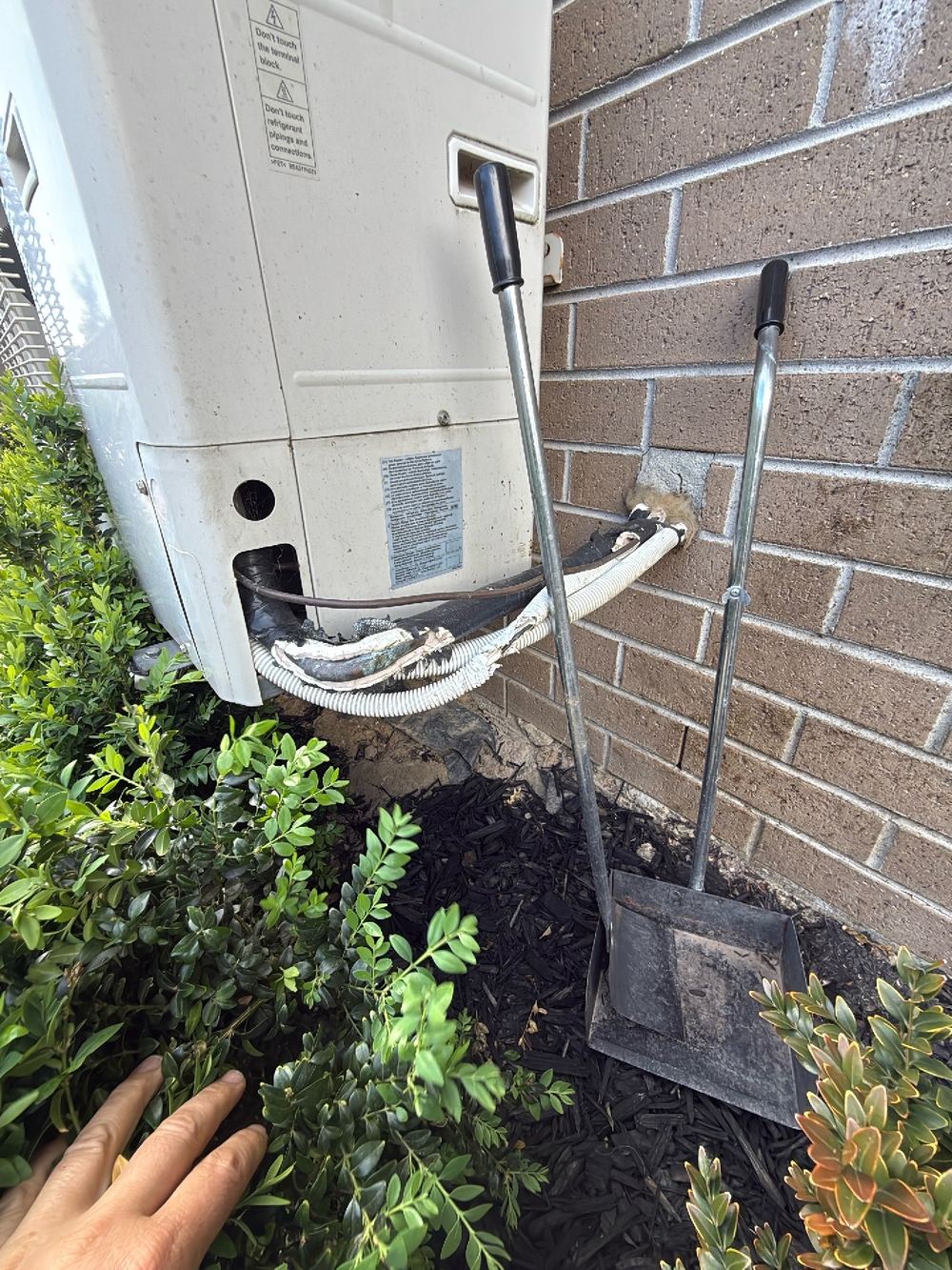 Refrigerant pipe insulation perished and chewed along the external wall, Doreen, Beveridge